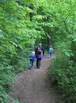 testbild