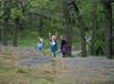 testbild