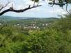 testbild