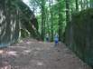 testbild