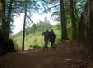 testbild